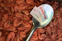 IMG_2387-e1478204541209-1024x768